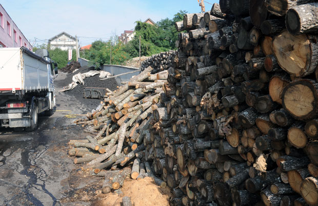 Уз дрва стигли и виши ценовници